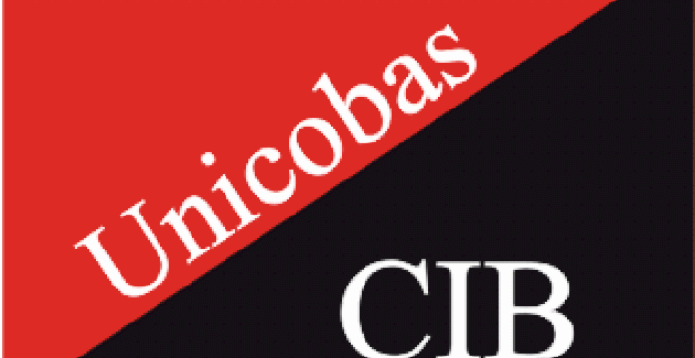 logo unicobas